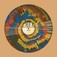 The famous vinyl - design