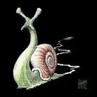 Snail Assassin - design