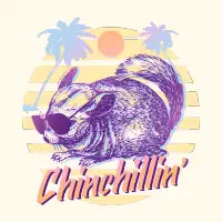 Chinchillin - design