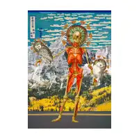Anatomy and Owls - design