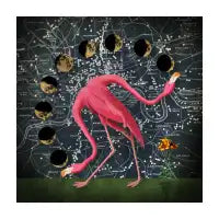 Flaming Mooon Phase (V1) - design