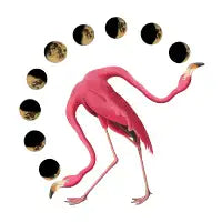 Flaming Mooon Phase (V2) - design