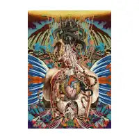 Medusa - design
