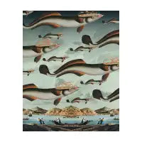 Migration no2 - design
