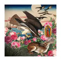 Rabbit Apparition - design