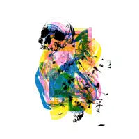 Riso skull - design