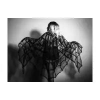 Web Noir - design