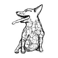 BIG dog - design