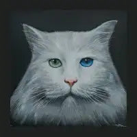 Diamond eyes - design