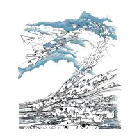 Flying fish - design