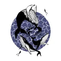 Whale circle - design