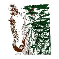 Wild horse - design