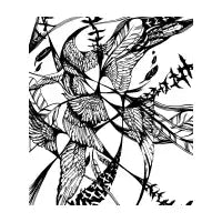 Wings - design