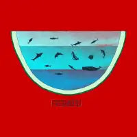 Water Melon - design