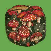 Fly Agaric - The Toadstool Mushroom - design