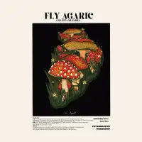 FLY AGARIC - A Brief Informational Card - design
