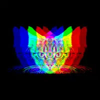 Holographic Kitty - 2 Waves - design