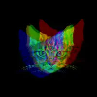 Holographic Kitty - design
