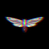 Holographic Moth ( Black ) - design