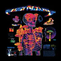 Inner Realms - design