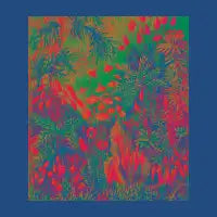 Junglow - design