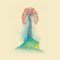 Spine Arbor - design
