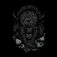 Bison - design