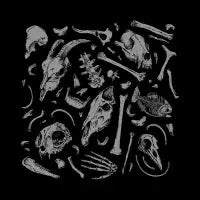 Bones - design