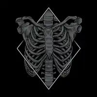 Skeleton - design