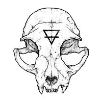 Cat Skull - design