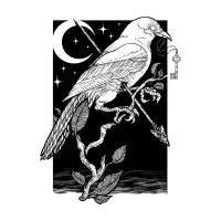 Night Crow - design