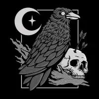 Night Raven - design