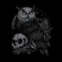 Night Watcher - design