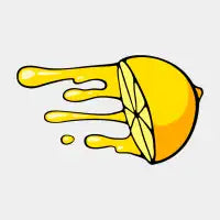 Flying Lemon - design