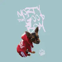 Morty the Good Boy - design
