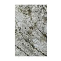 Delicated leaf closeup texture - design