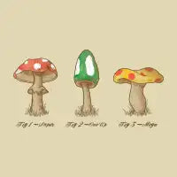 Mario Mycology - design