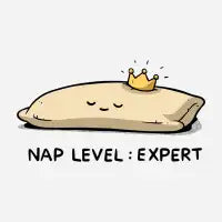 Nap Level: Expert - design