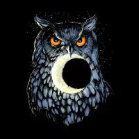 Night diving - design