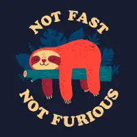 Not Fast, Not Furious - design