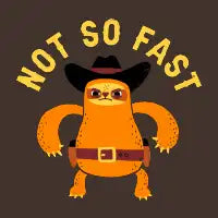 Not So Fast - design