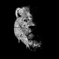 Ghost and Darkness - design