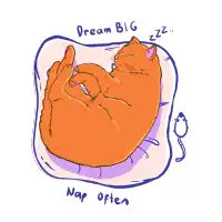 Dream Big Nap Often - design
