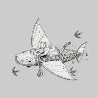 catfish - design
