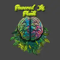 Bright Brain - design