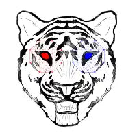 Tiger's Eyes - design