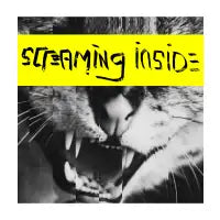 Screaming Inside Glitchy Kitty - design