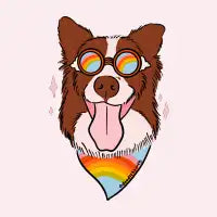 Rainbow Dog - design