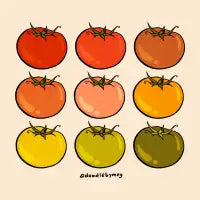 Rainbow Tomatoes - design