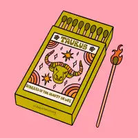 Taurus Matchbox - design